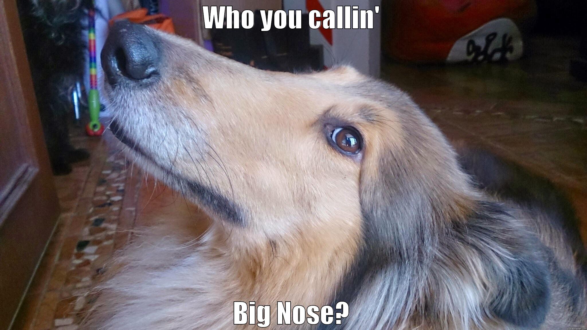 WHO YOU CALLIN' BIG NOSE? Misc