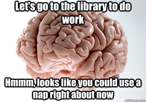 Let's go to the library to do work Hmmm, looks like you could use a nap right about now   Scumbag Brain