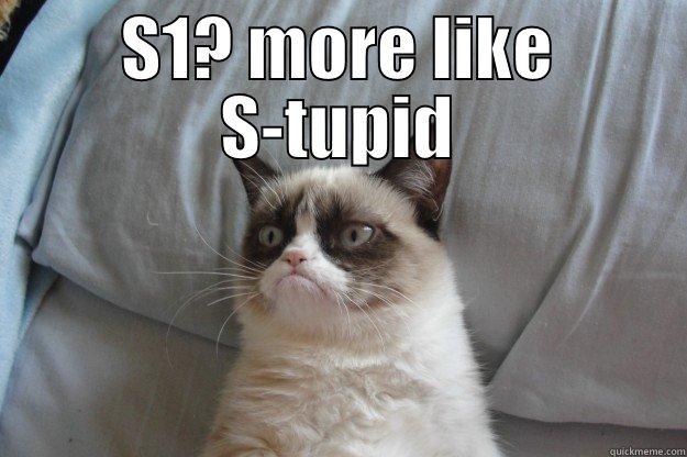 S1? MORE LIKE S-TUPID  Grumpy Cat