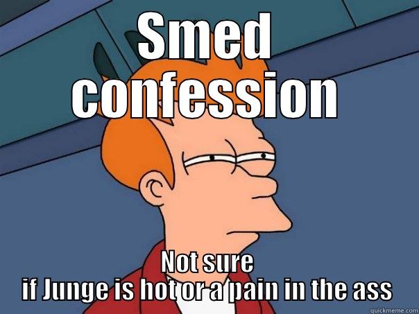 SMED CONFESSION NOT SURE IF JUNGE IS HOT OR A PAIN IN THE ASS Futurama Fry