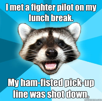 I met a fighter pilot on my lunch break. My ham-fisted pick-up line was shot down. - I met a fighter pilot on my lunch break. My ham-fisted pick-up line was shot down.  Lame Pun Coon