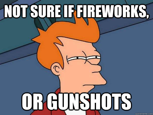 Not sure if Fireworks, Or gunshots  Futurama Fry