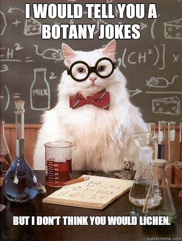 I would tell you a botany jokes But I don't think you would lichen.  Chemistry Cat