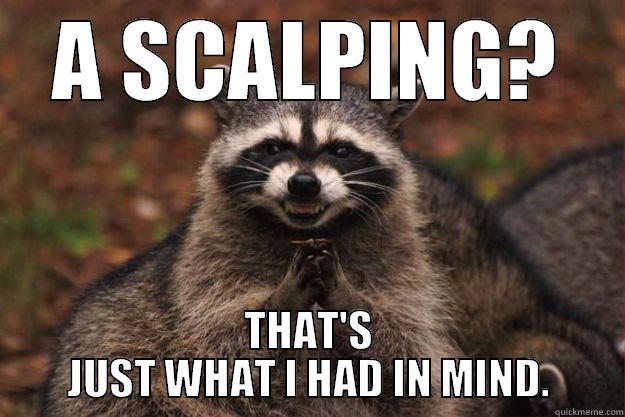 A SCALPING? THAT'S JUST WHAT I HAD IN MIND. Evil Plotting Raccoon