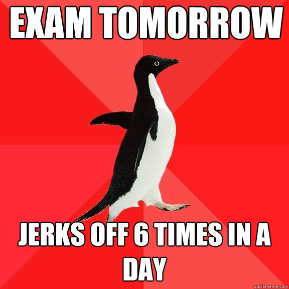 Exam tomorrow Jerks off 6 times in a day  Socially Awesome Penguin