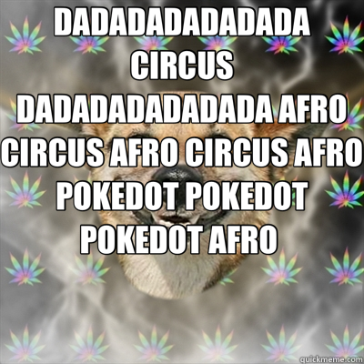 DADADADADADADA CIRCUS DADADADADADADA AFRO CIRCUS AFRO CIRCUS AFRO POKEDOT POKEDOT POKEDOT AFRO    Stoner Dog