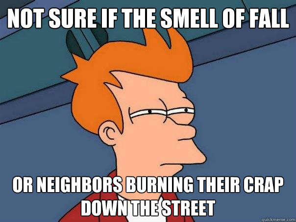 Not sure if the smell of fall Or neighbors burning their crap down the street  Futurama Fry