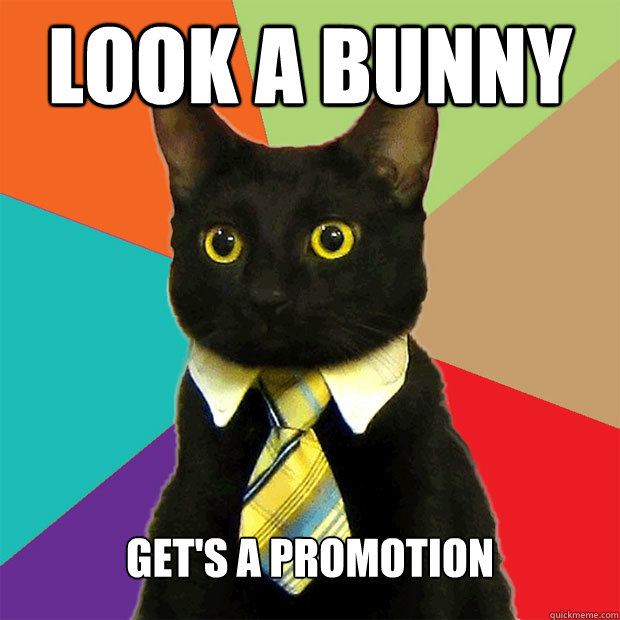 Look a bunny get's a promotion  Business Cat