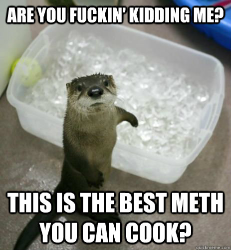 Are you fuckin' kidding me? this is the best meth you can cook?  Breaking Bad Otter