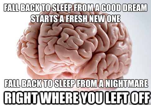 fall back to sleep from a good dream
starts a fresh new one fall back to sleep from a nightmare right where you left off  Scumbag Brain