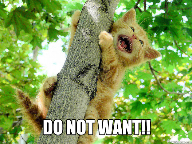 DO NOT WANT!! - DO NOT WANT!!  DO NOT WANT CAT