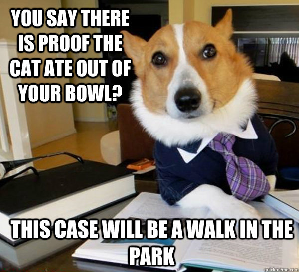 You say there is proof the cat ate out of your bowl? This case will be a walk in the park  Lawyer Dog