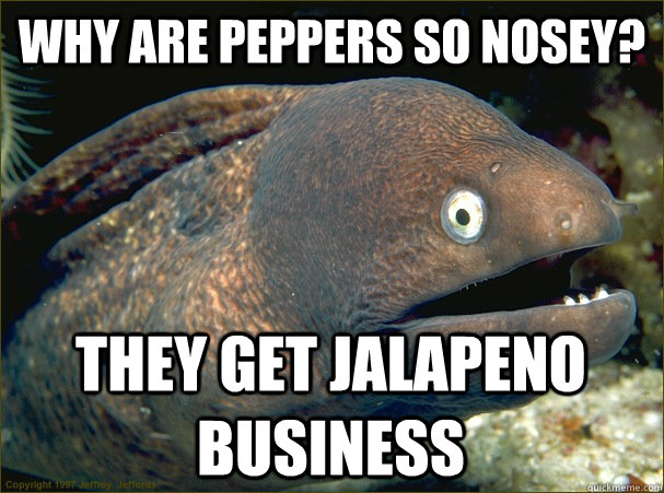 Why are peppers so nosey? They get Jalapeno business  Bad Joke Eel