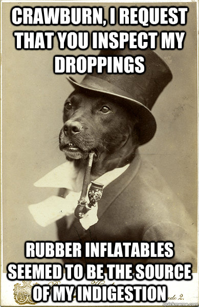 Crawburn, I request that you inspect my droppings Rubber inflatables seemed to be the source of my indigestion  - Crawburn, I request that you inspect my droppings Rubber inflatables seemed to be the source of my indigestion   Old Money Dog