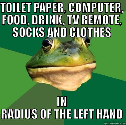 TOILET PAPER, COMPUTER, FOOD, DRINK, TV REMOTE, SOCKS AND CLOTHES IN RADIUS OF THE LEFT HAND Foul Bachelor Frog