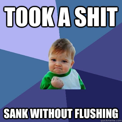 Took a shit sank without flushing  Success Kid