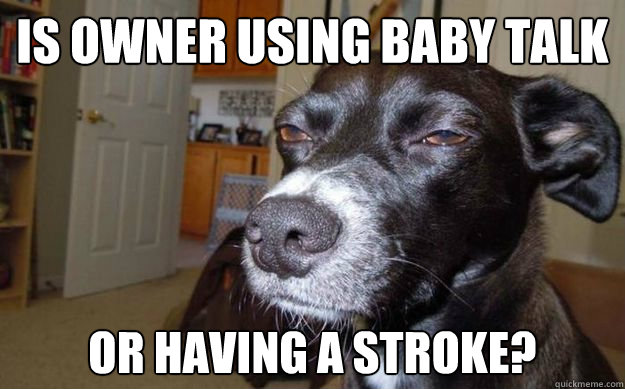 Is owner using baby talk Or having a stroke?
  Skeptical Mutt