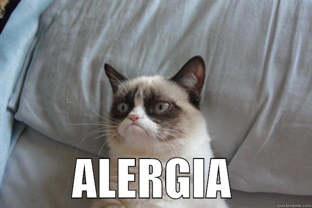  ALERGIA Grumpy Cat