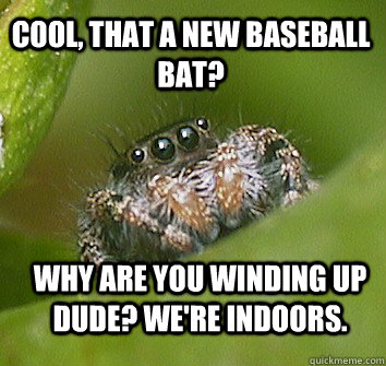 cool, that a new baseball bat? why are you winding up dude? we're indoors. - cool, that a new baseball bat? why are you winding up dude? we're indoors.  Misunderstood Spider