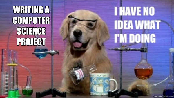 Writing a computer science project   science dog