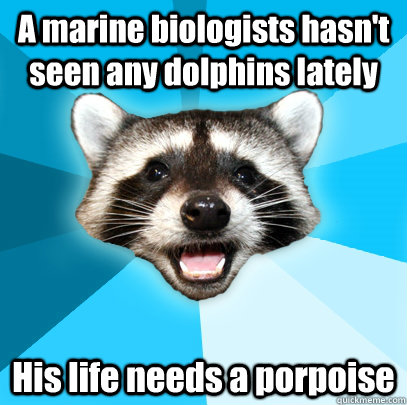 A marine biologists hasn't seen any dolphins lately His life needs a porpoise  Lame Pun Coon