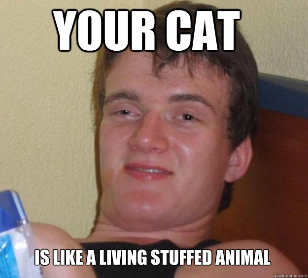 y0ur cat is like a living stuffed animal - y0ur cat is like a living stuffed animal  10 Guy