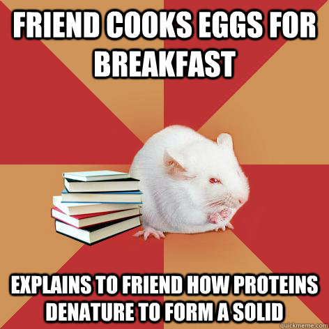 friend cooks eggs for breakfast explains to friend how proteins denature to form a solid  Science Major Mouse