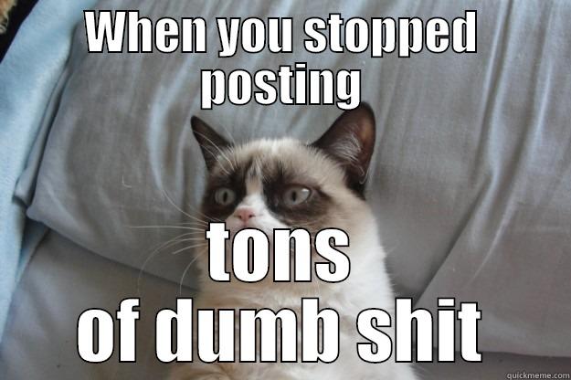 WHEN YOU STOPPED POSTING TONS OF DUMB SHIT Grumpy Cat