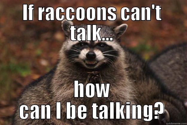 IF RACCOONS CAN'T TALK... HOW CAN I BE TALKING? Evil Plotting Raccoon