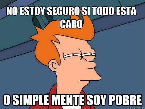 No estoy seguro si todo esta caro O simple mente soy pobre  Futurama Fry