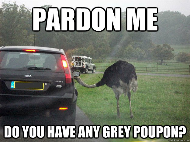 pardon me do you have any grey poupon? - pardon me do you have any grey poupon?  Ostrich