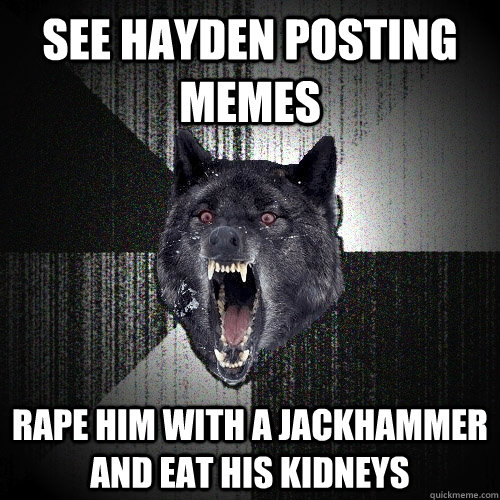 See Hayden posting memes Rape him with a jackhammer and eat his kidneys  Insanity Wolf