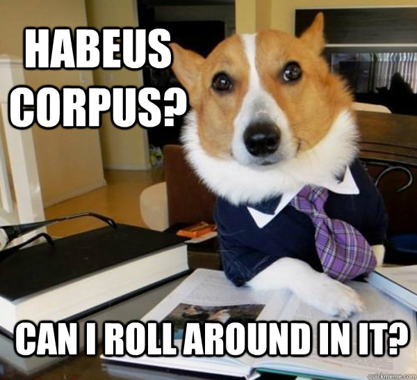 Habeus corpus? Can I roll around in it?  Lawyer Dog