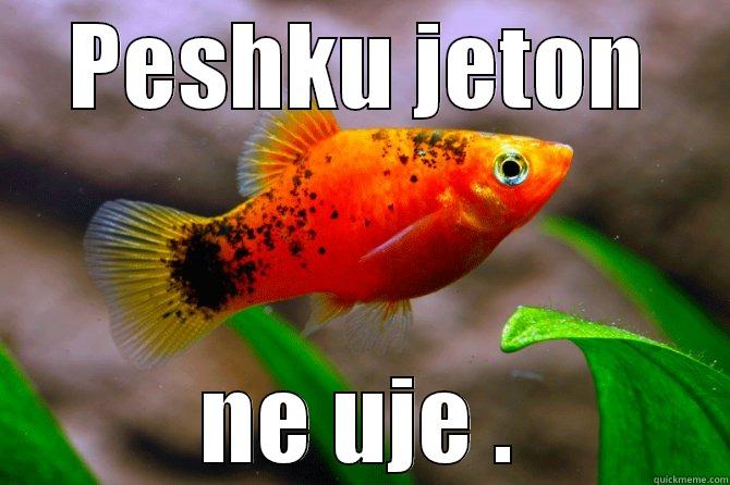 Peshku jeton ne uje ! - PESHKU JETON NE UJE . Misc