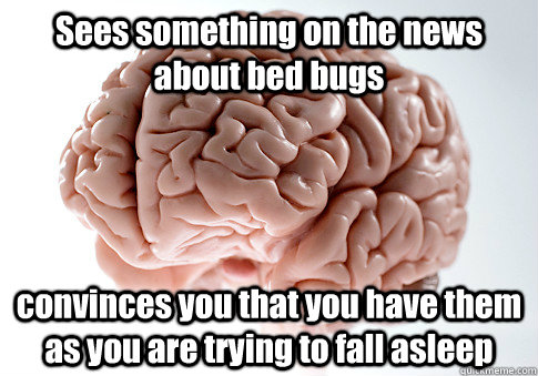 Sees something on the news about bed bugs convinces you that you have them as you are trying to fall asleep - Sees something on the news about bed bugs convinces you that you have them as you are trying to fall asleep  Scumbag Brain