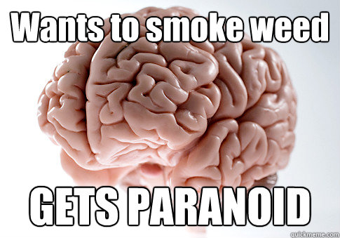 Wants to smoke weed GETS PARANOID  Scumbag Brain