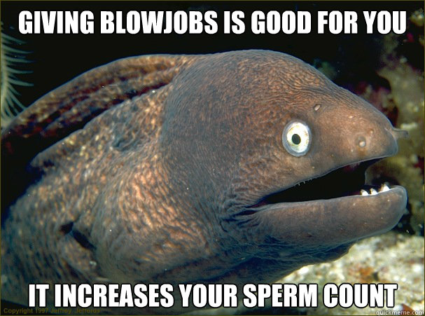 Giving blowjobs is good for you  It increases your sperm count  Bad Joke Eel