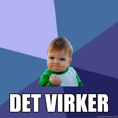  det virker  Success Kid