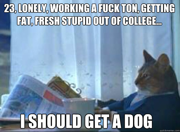 23, lonely, working a fuck ton, getting fat, fresh stupid out of college... I SHOULD GET A DOG
  I should buy a boat cat