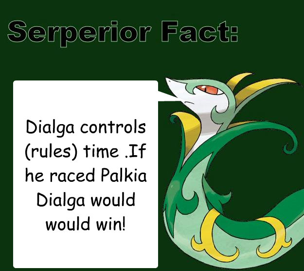 Dialga controls (rules) time .If he raced Palkia Dialga would would win!   - Dialga controls (rules) time .If he raced Palkia Dialga would would win!    Serperior Facts