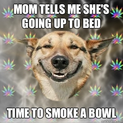 Mom tells me she's going up to bed Time to smoke a bowl  Stoner Dog