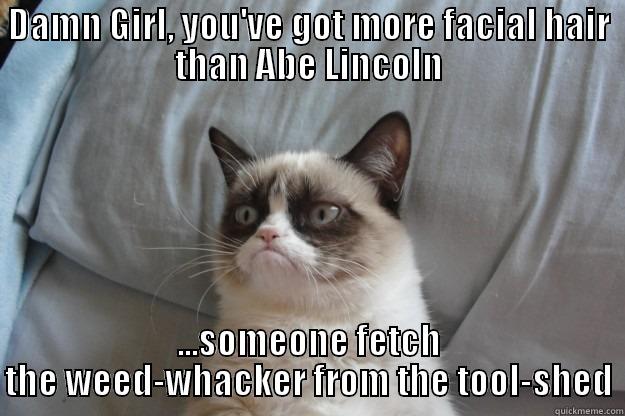 don't fool The Grump. - DAMN GIRL, YOU'VE GOT MORE FACIAL HAIR THAN ABE LINCOLN ...SOMEONE FETCH THE WEED-WHACKER FROM THE TOOL-SHED Grumpy Cat