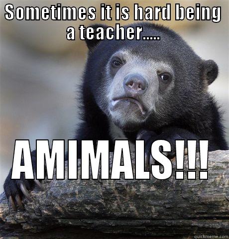 Sad Bear - SOMETIMES IT IS HARD BEING A TEACHER..... AMIMALS!!! Confession Bear
