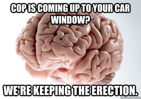 cop is coming up to your car window? we're keeping the erection.  Scumbag Brain