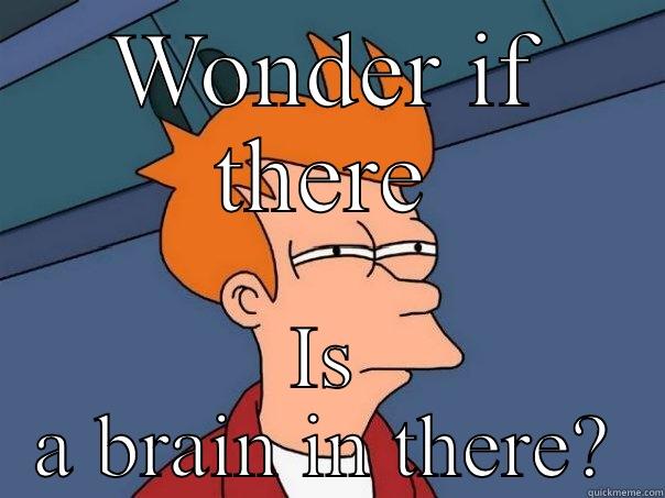 WONDER IF THERE IS A BRAIN IN THERE? Futurama Fry