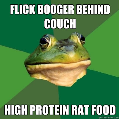 Flick booger behind couch high protein rat food - Flick booger behind couch high protein rat food  Foul Bachelor Frog