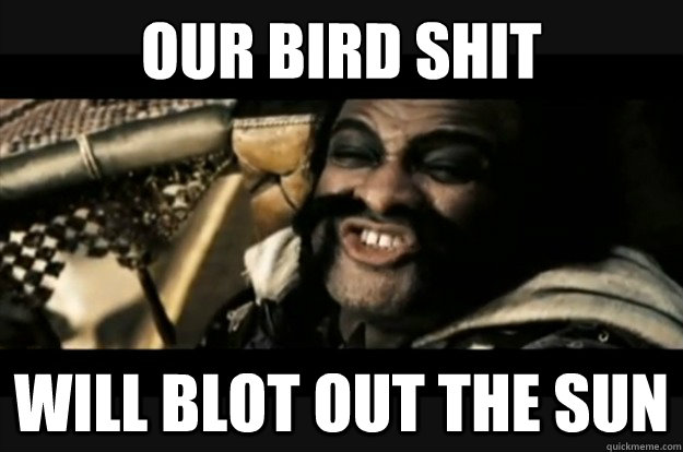 our bird shit will blot out the sun - our bird shit will blot out the sun  Misc