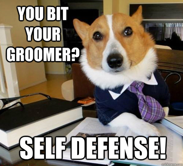 you bit your groomer? self defense!  Lawyer Dog