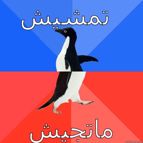 تمشيش ماتجيش Socially Awkward Awesome Penguin