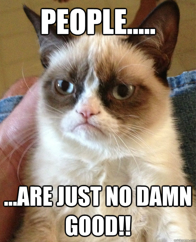 People..... ...are just no damn good!!  Grumpy Cat